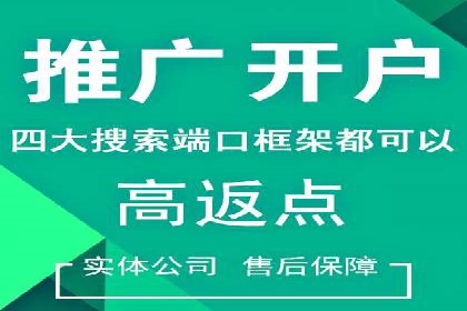 竞价代运营的案例研究：如何精准投放广告并获得回报